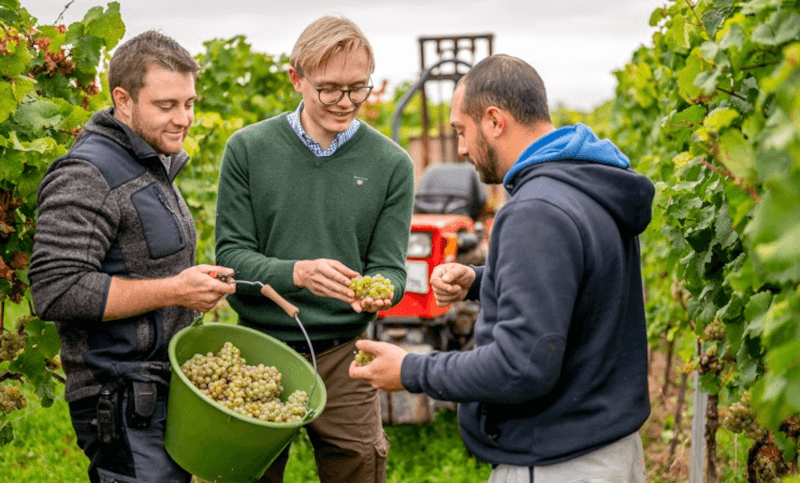 J Trautwein Vinicultor