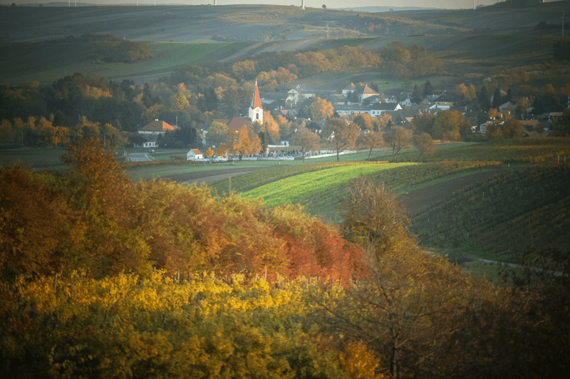Barrio del Vino Weinrieder