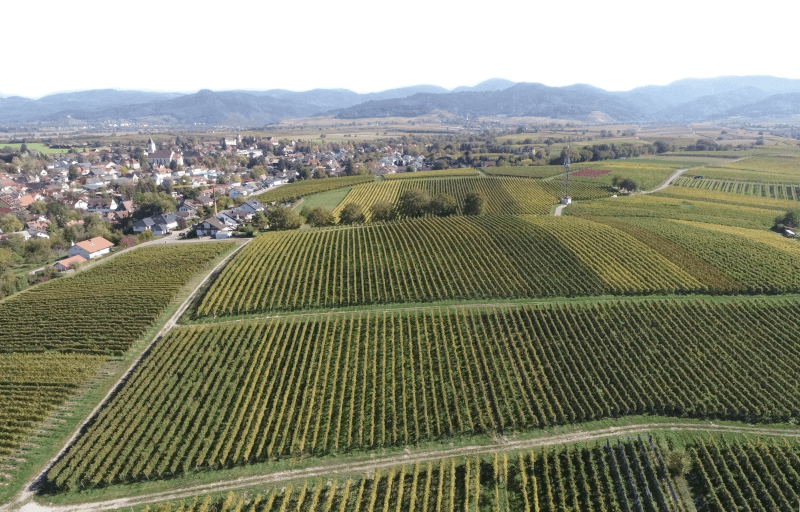 Zotz Maltesergarten Vista Aérea