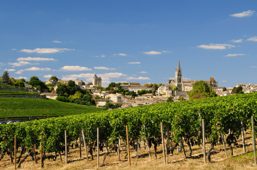 Viñedos en Saint Emilion