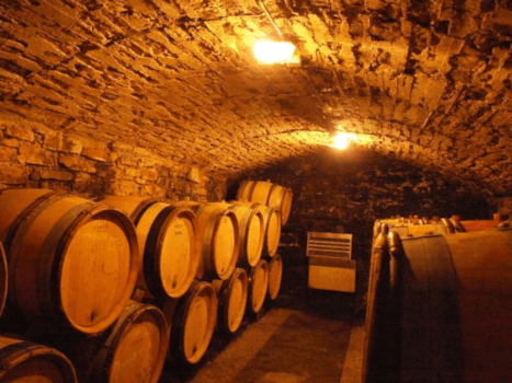 Bodega Domaine Dujardin