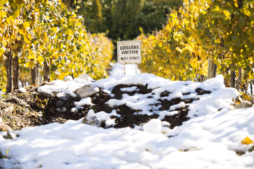 La ubicación de Adrianna Vineyards La ubicación de Adrianna Vineyards