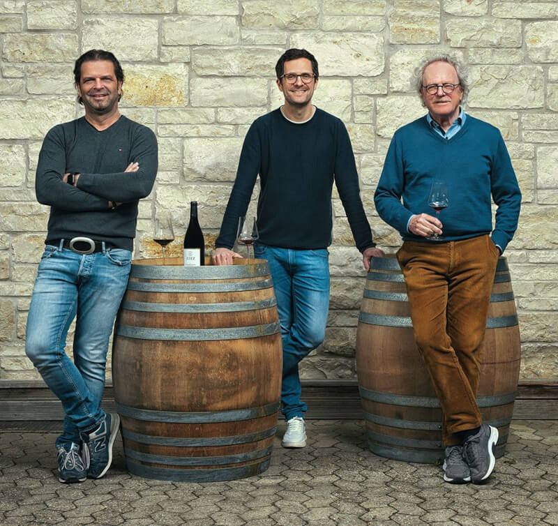 Bodega Zotz Director General