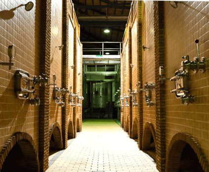 Bodega de Jaraba Bodega de Jaraba