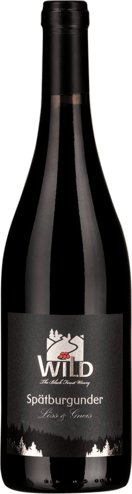 Vista previa: Los mejores Spätburgunder de Alemania - paquete de 6 variedades