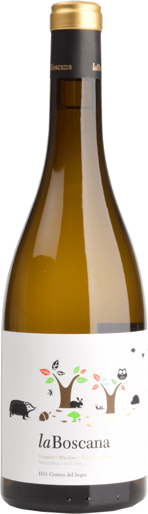Vista previa: paquete de degustación 6x - Vinos de Cataluña - algo más que cava
