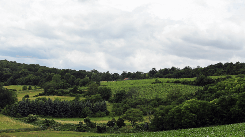 Ubicación de Pfaffl Zeiseneck