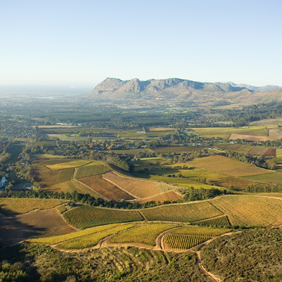 El terruño del viñedo Klein Constantia tiene mucho que ofrecer