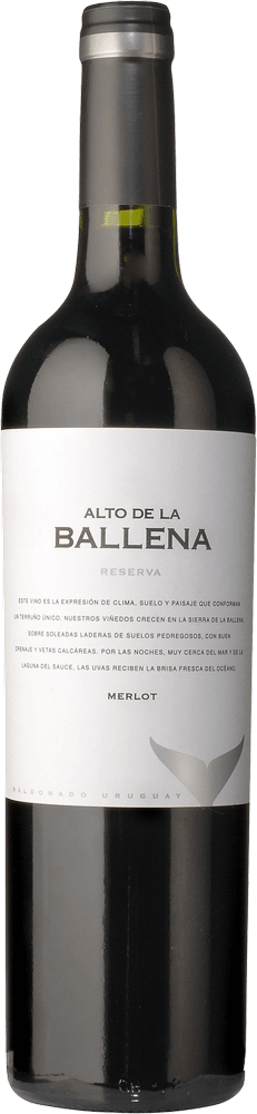 Vista previa: 6er Kennenlernpaket - Weine aus Uruguay