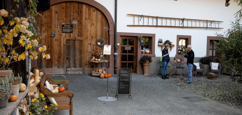 Tribunal de Ziereisen Tribunal de Ziereisen