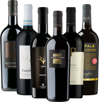 Vista previa: Los mejores campeones de Primitivo de VINELLO - lote de degustación de 12 botellas
