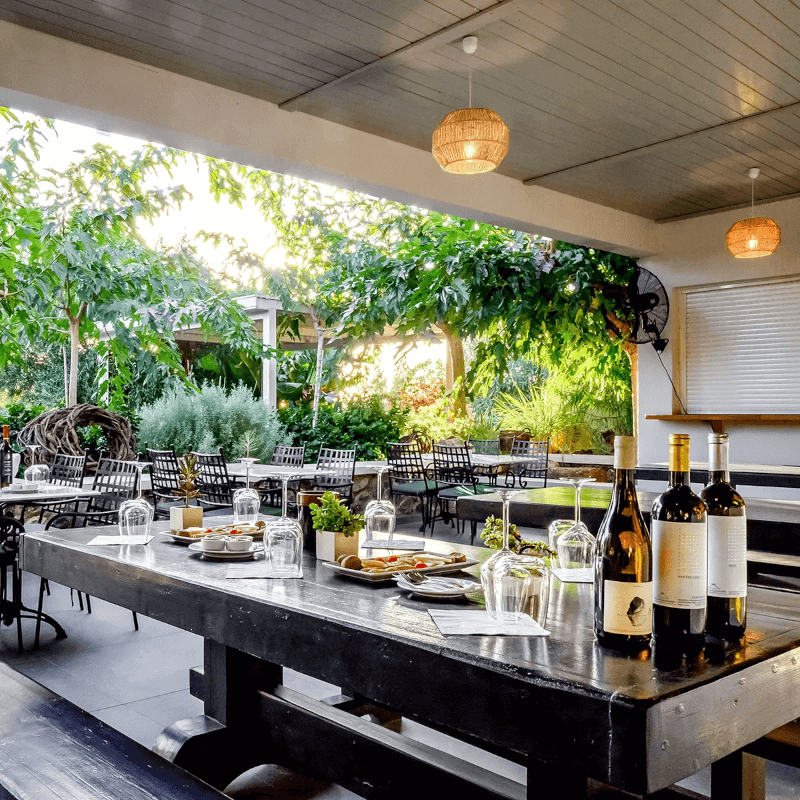 Artemis Karamolegos Cata