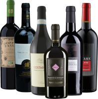 Vista previa: Los mejores campeones de Primitivo de VINELLO - lote de degustación de 12 botellas