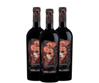 Paquete de ventajas 3x Enigma Appassimento Sangiovese Rubicone - Biscardo