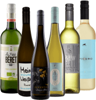Disfrute de vino blanco sin alcohol - lote de degustación 6x