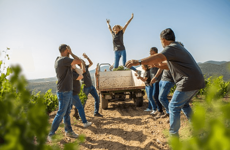 Vigneron par saut aérien