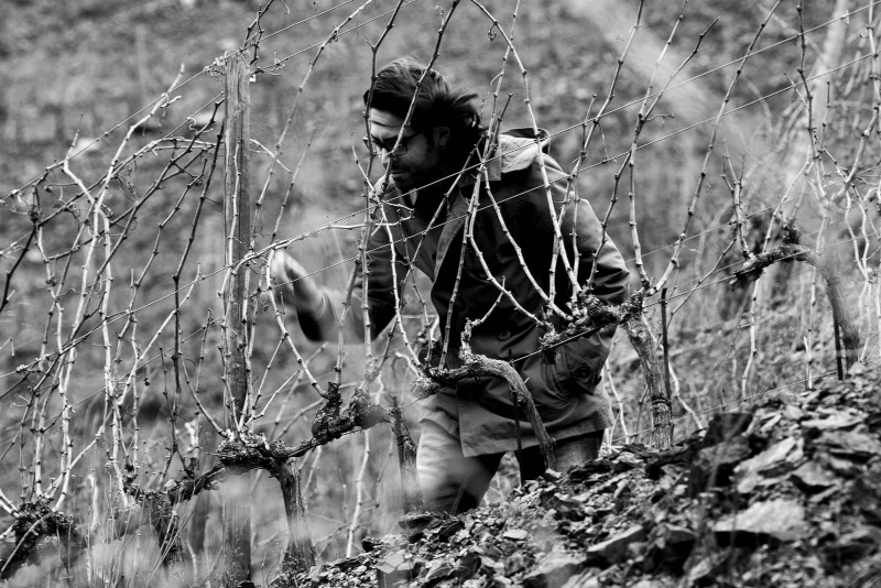 Control de calidad Control de calidad