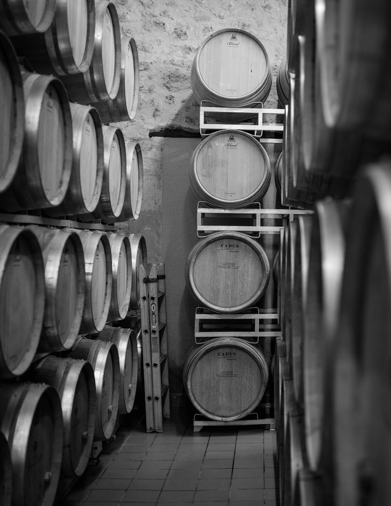 Bodega del Château Carignan Bodega del Château Carignan