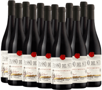 Vista previa: Passo del Sud Appassimento Puglia IGP de Tagaro SLR - Paquete especial 12x