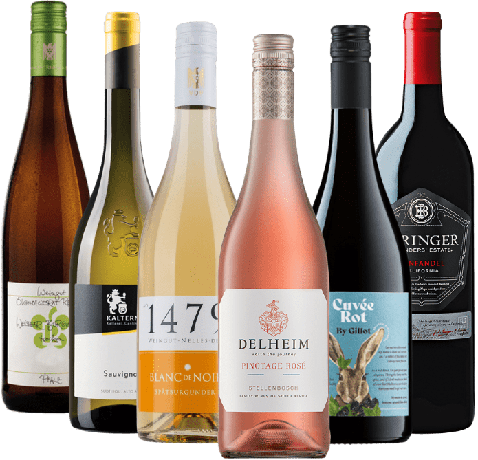 Vinos para fuego y pasión - paquete de degustación de 6x para la primera parrillada