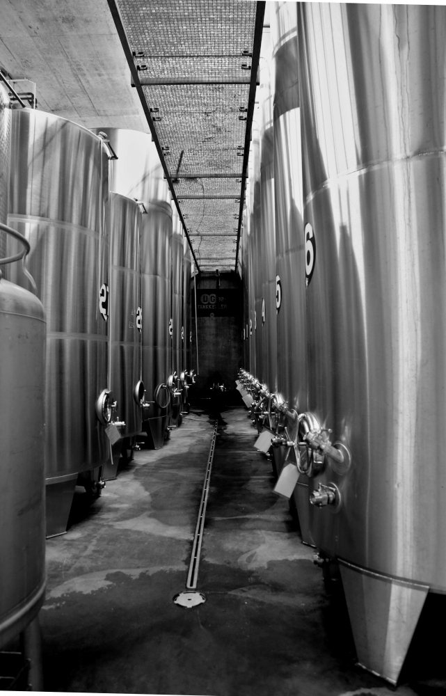 Moderna tecnología de bodegas Moderna tecnología de bodegas