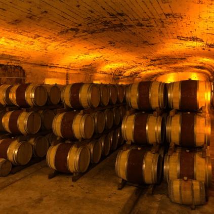 Bodega del Chateau Mont-Redon