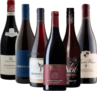 Paquete de 6 variedades de uva - Alrededor del mundo con Pinot Noir
