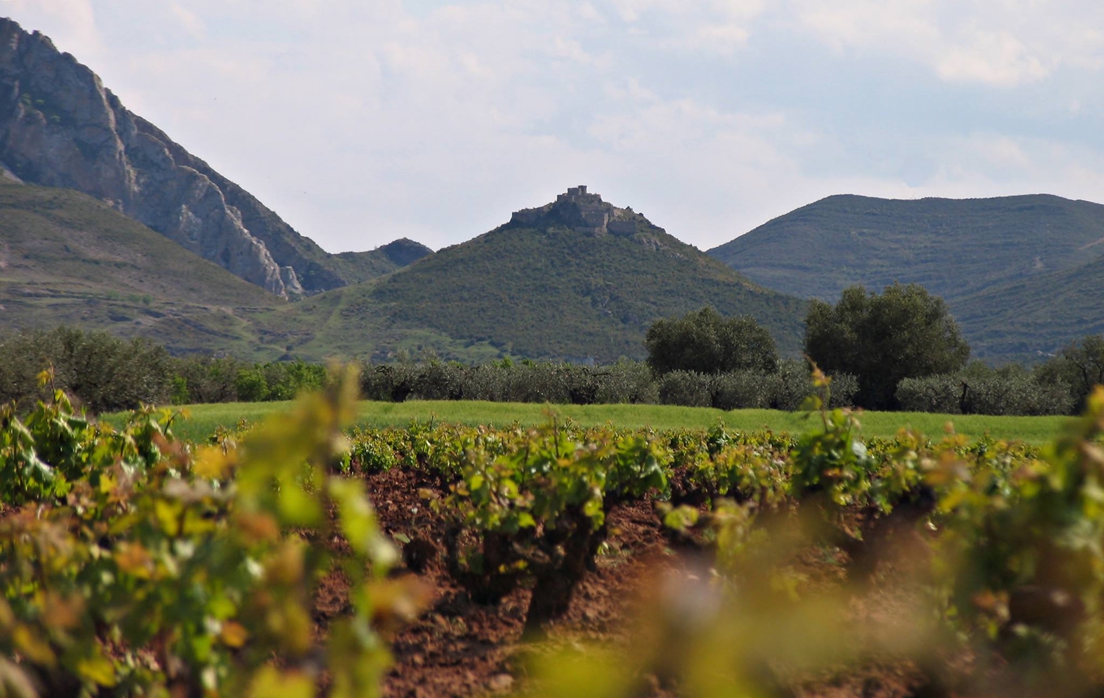 El Valle de Jubera ofrece condiciones de cultivo perfectas