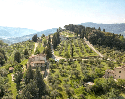 Viñedo Frescobaldi