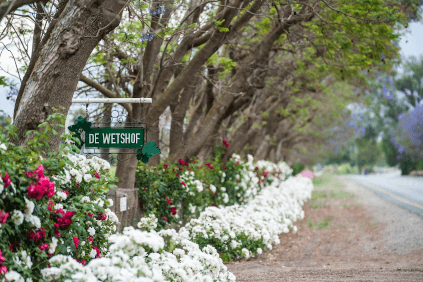 De Wetshof en Robertson De Wetshof en Robertson