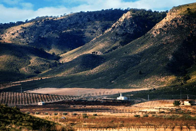 Campos de Risca