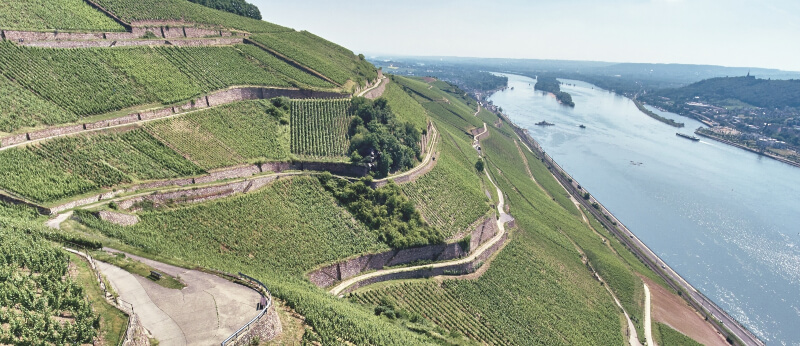 Bodega Leitz Berg Roseneck