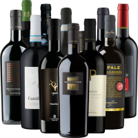 Vista previa: Los mejores campeones de Primitivo de VINELLO - lote de degustación de 12 botellas