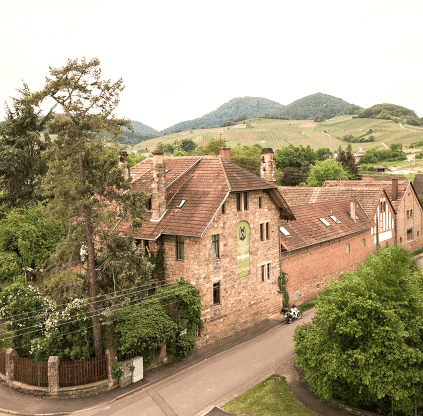 Bodega Dr. Wehrheim Bodega Dr. Wehrheim