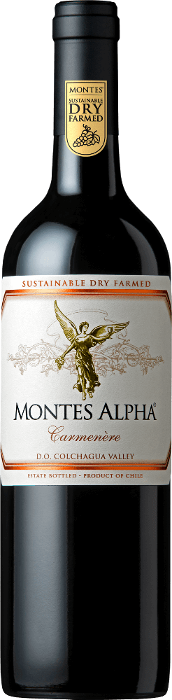 Vista previa: Ring of Wines - El superventas de Chile 6x paquete descubridor