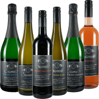 Disfrute de vino sin alcohol con Somée - Paquete de 6 vinos de bodega