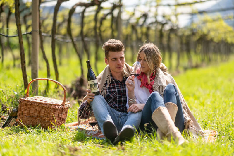 Campo de vinos Vallarom