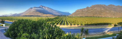 Las dos montañas de la finca Bergsig Las dos montañas de la finca Bergsig