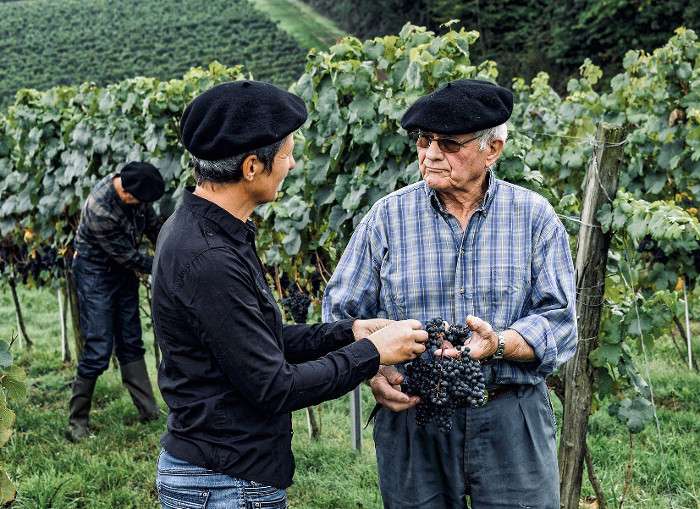 Plaimont y sus viticultores Plaimont y sus viticultores