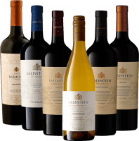 Vista previa: El alma de Mendoza con Bodegas Salentein - Paquete de degustación de 6x