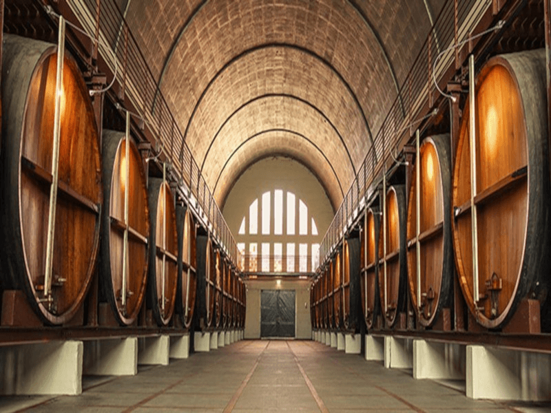 Vista de la bodega Golden Kaan