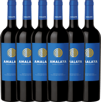 6er Vorteils-Weinpaket - Amalaya Tinto 2021 - Bodega Colomé