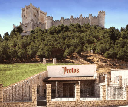 Bodega Protos Bodega Protos