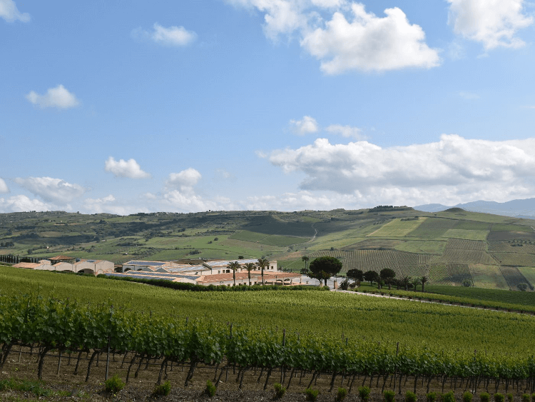 La bodega Stemmari en Sicilia