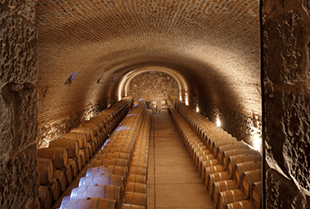 La bodega de Bodegas Caro