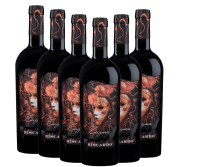 6x paquete de ventajas Enigma Appassimento Sangiovese Rubicone - Biscardo