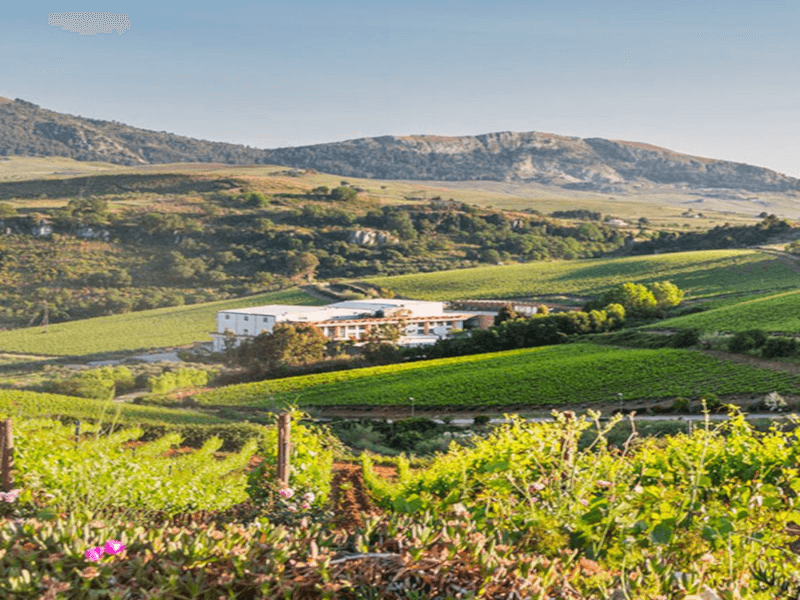 Baglio di Pianetto Azienda Baglio di Pianetto Azienda