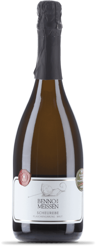 Benno von Meißen Scheurebe Brut - WG Meissen