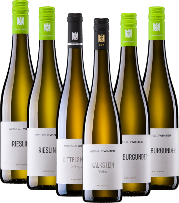 Los más vendidos de la bodega Winter - 6x paquete de introducción