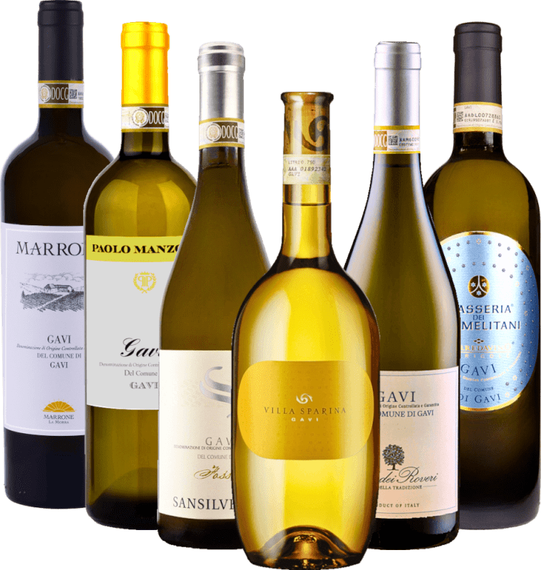 Descubra la diversidad de Gavi di Gavi - Paquete de 6 degustaciones